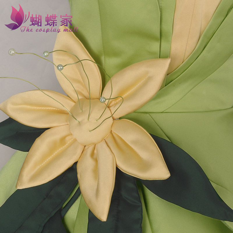 Princess Tiana Dress Cosplay C - Women Accessories Wholesale review and price